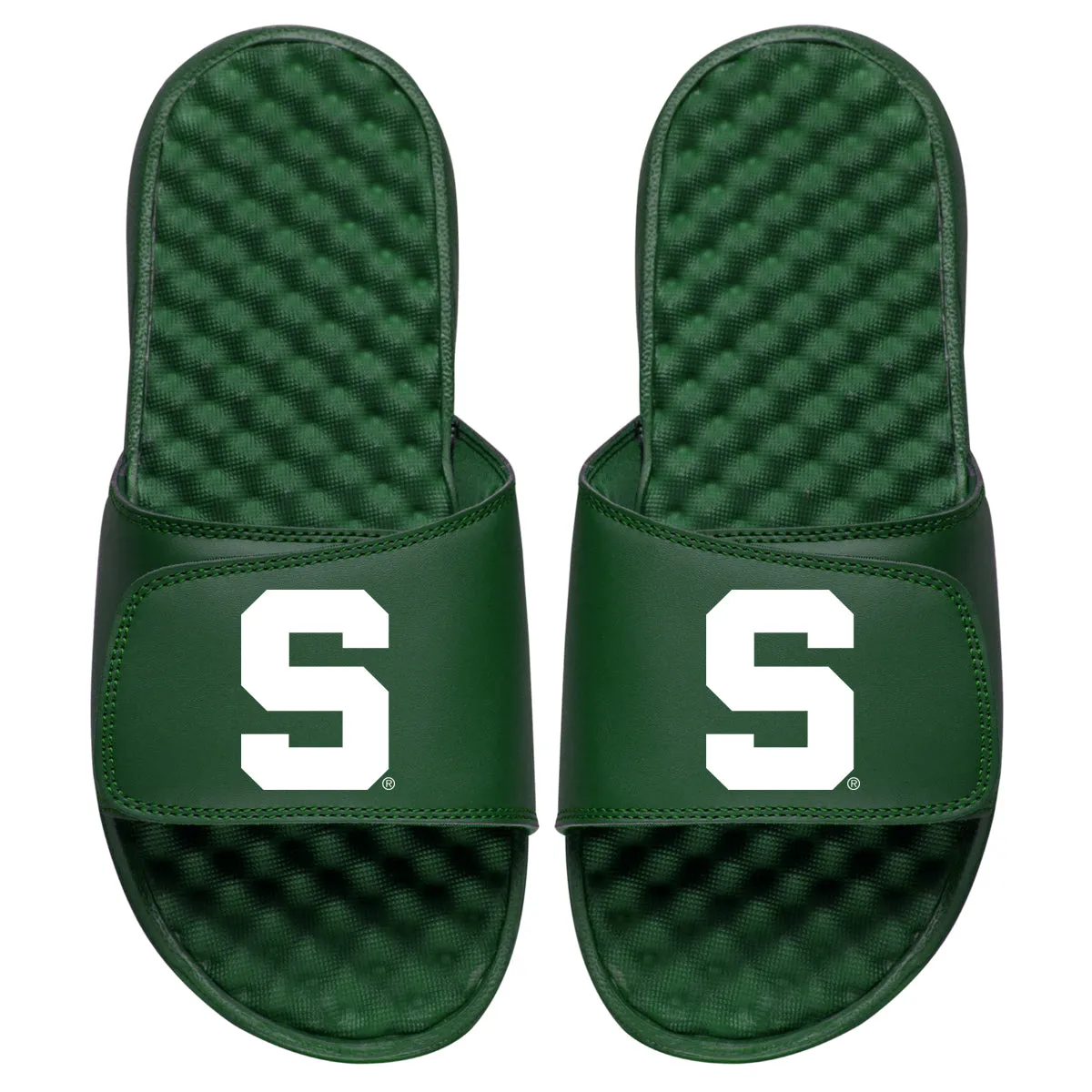 Michigan State S Slides