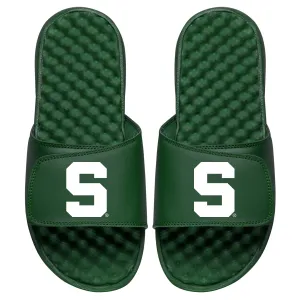 Michigan State S Slides
